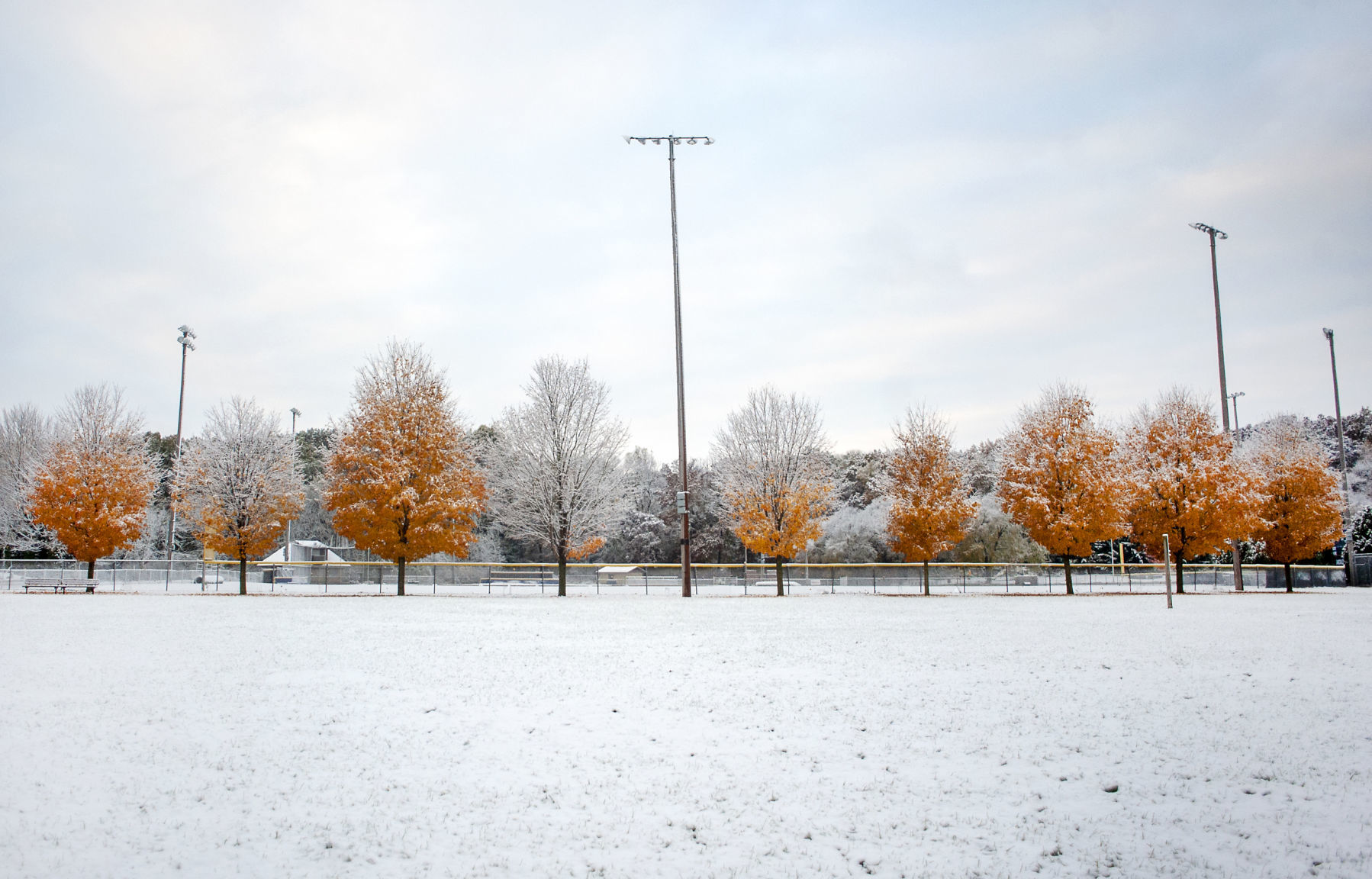 191030_SNOW06